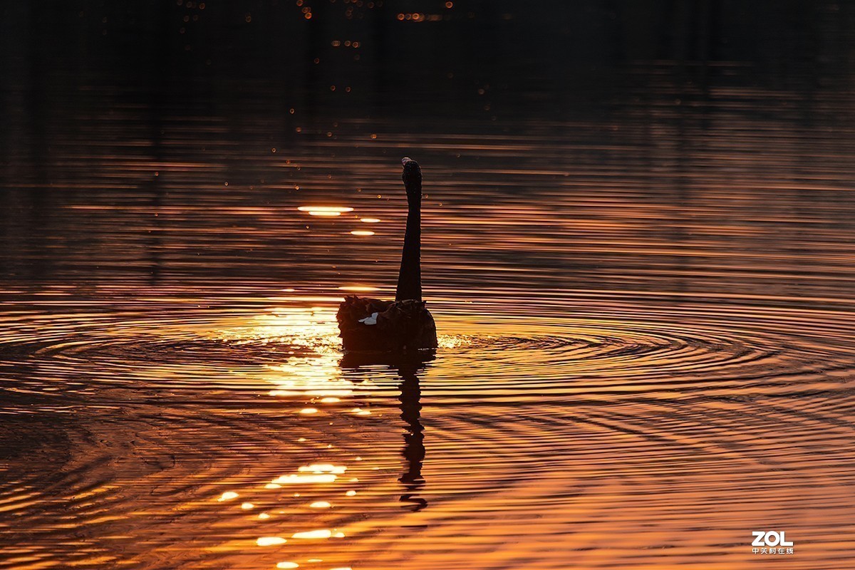 #版主坐堂# 尼康镜头星空(中国)2020年2月部分优秀作品欣赏