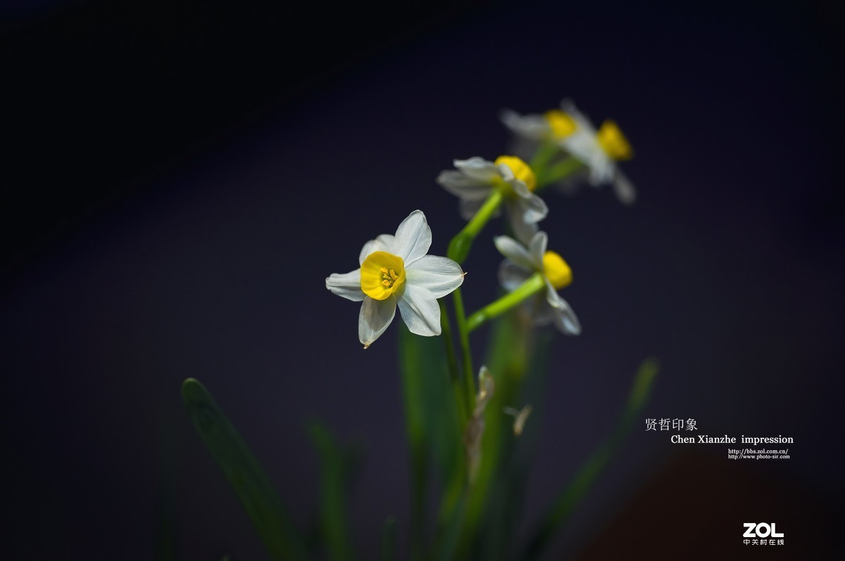 #版主坐堂# 尼康镜头星空(中国)2020年2月部分优秀作品欣赏