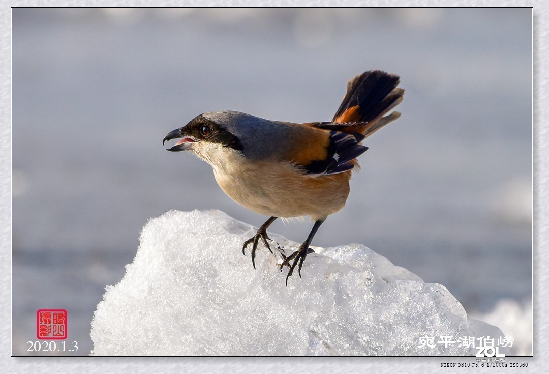 #版主坐堂# 尼康镜头星空(中国)2020年2月部分优秀作品欣赏