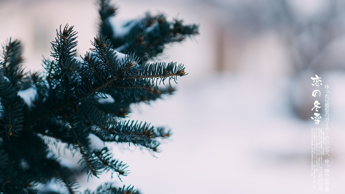 【罗兵】恋之冬雪