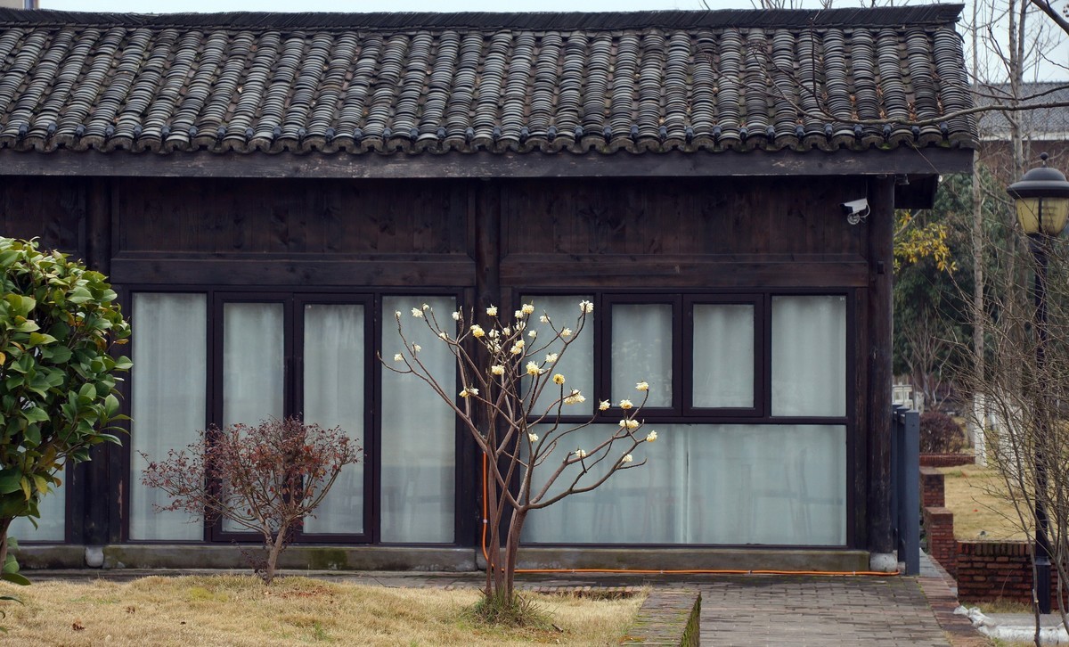 〖 阴 天 没 远 走 老 街 扫一扫 〗