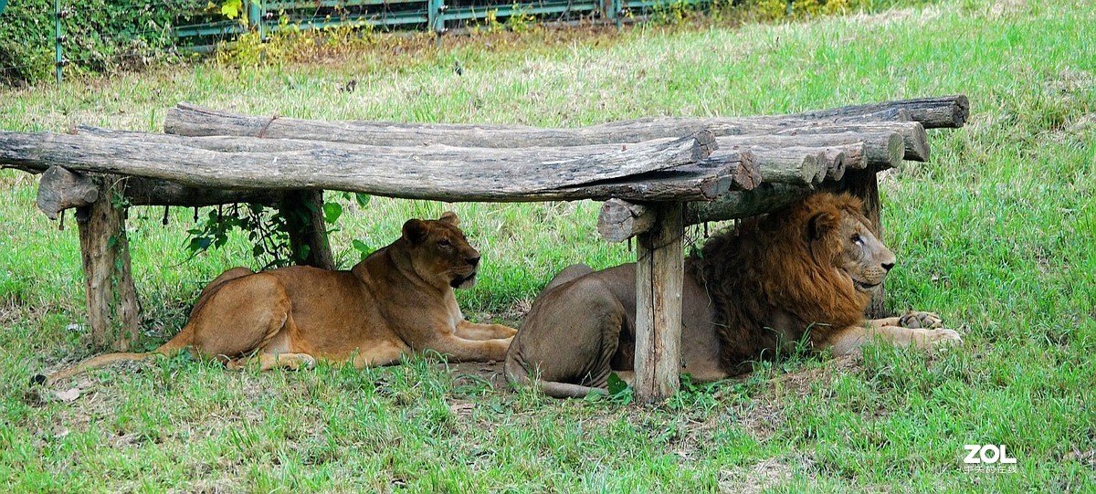 旅游--扬州动物园《3》