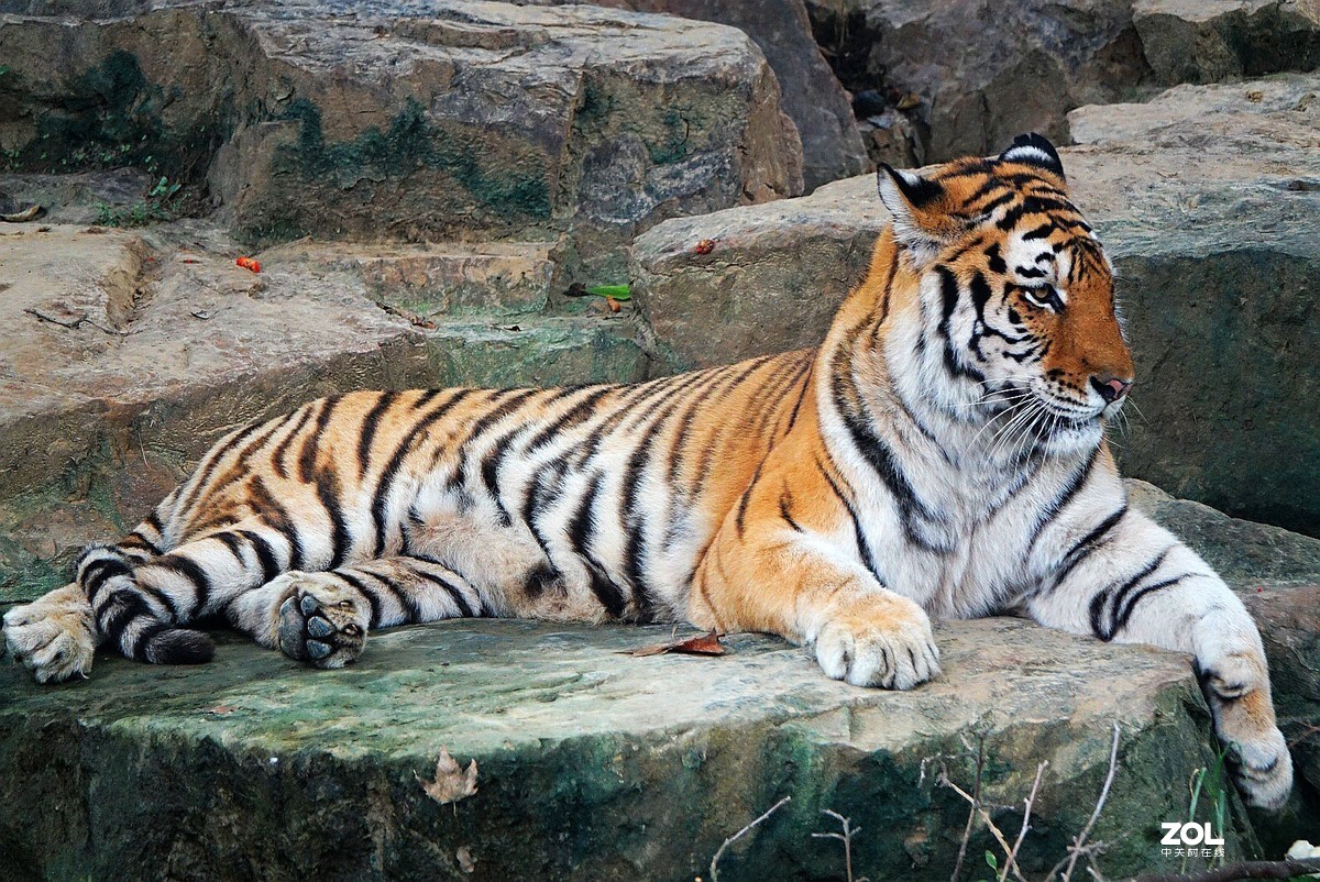 旅游--扬州动物园《3》