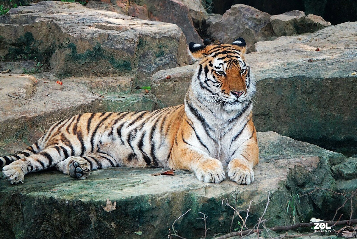 旅游--扬州动物园《3》