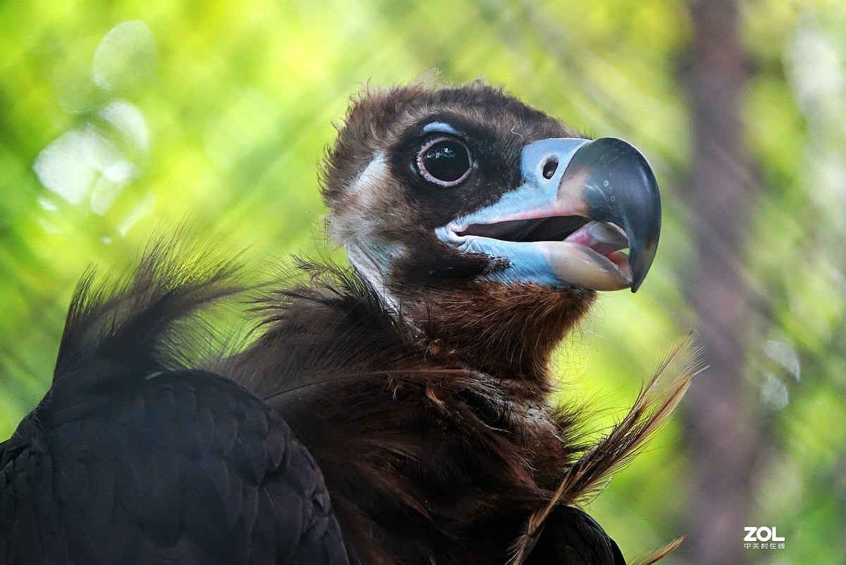 旅游--扬州动物园《3》