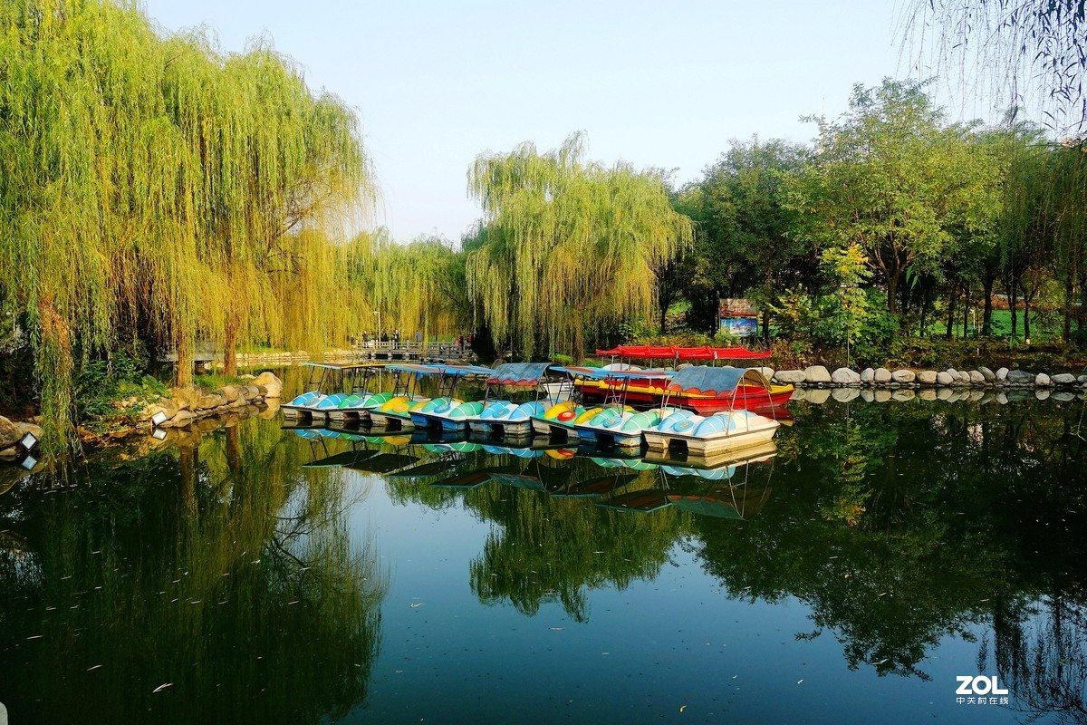 秋拍朝阳公园《2》