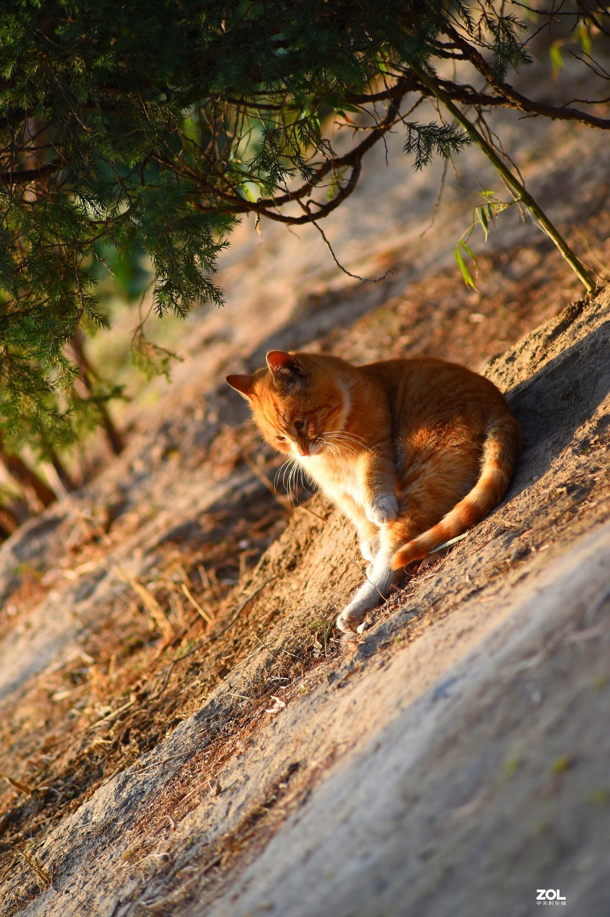 那些曾经的回忆（三）尼康D4s