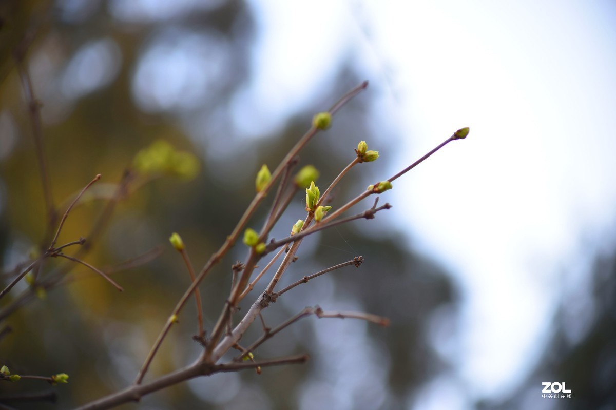 那些曾经的回忆（三）尼康D4s