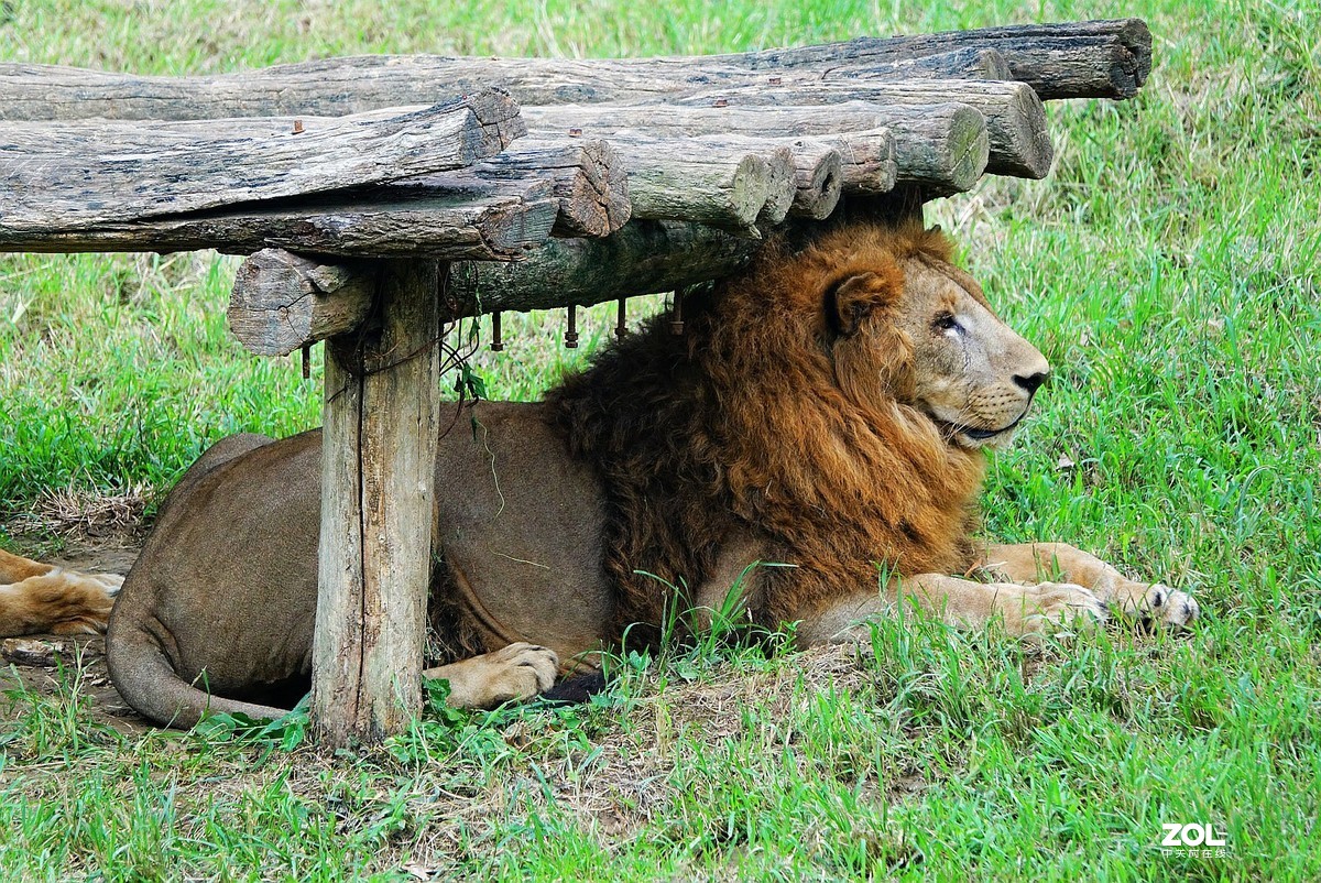 旅游--扬州动物园《3》