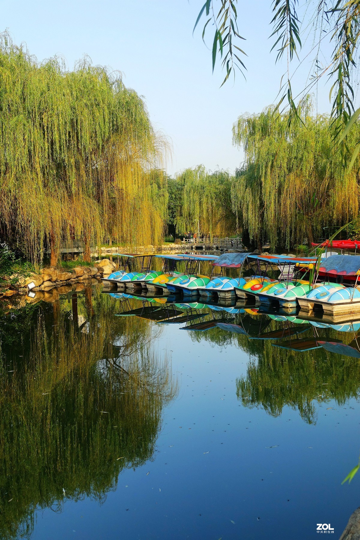 秋拍朝阳公园《2》