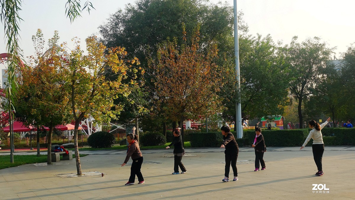 秋拍朝阳公园《2》