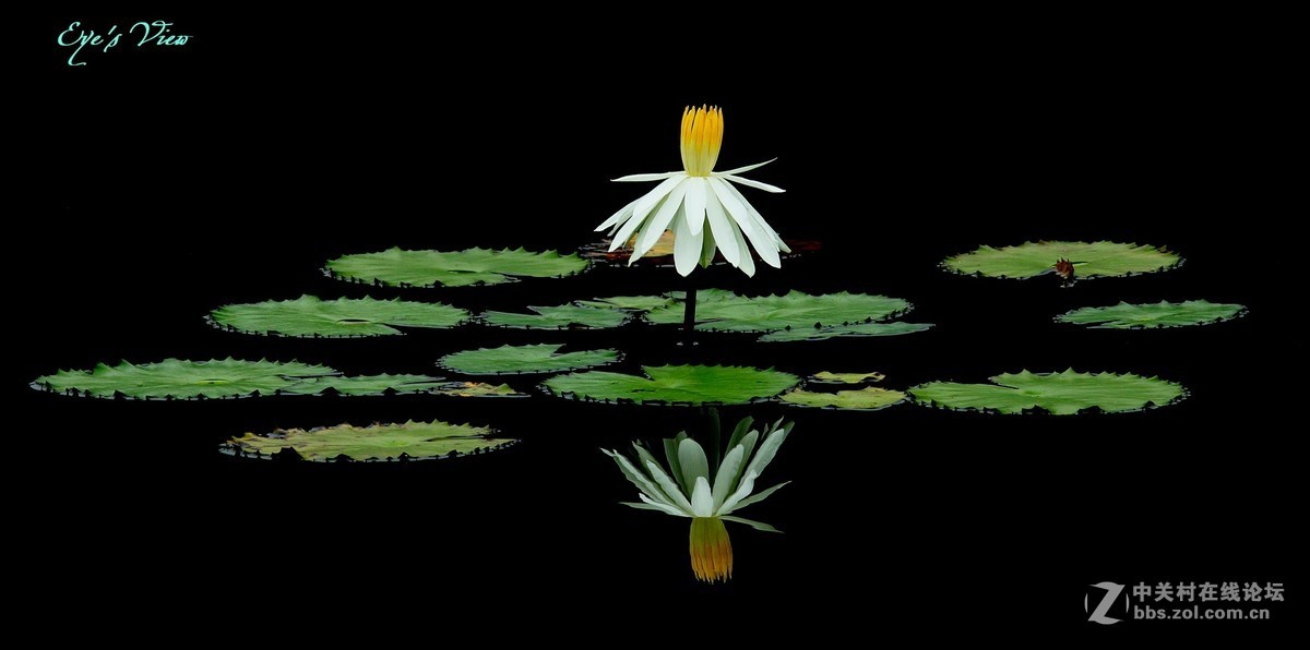 佳能7DⅡ星空(中国)6月份美帖共享