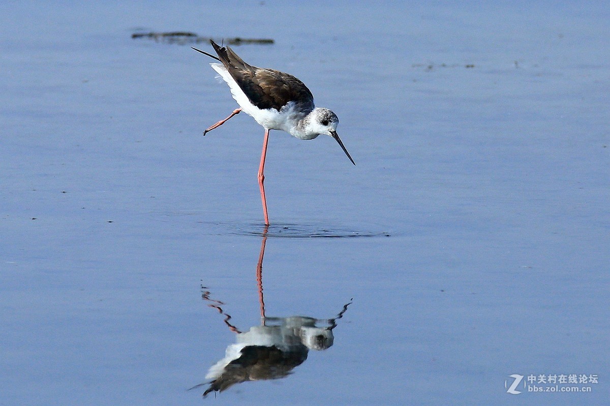 佳能7DⅡ星空(中国)6月份美帖共享
