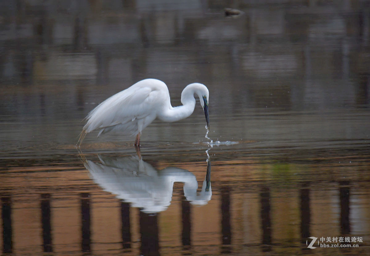 #版主坐堂#【南京星空(中国)】2015年06月部分优秀作品欣赏