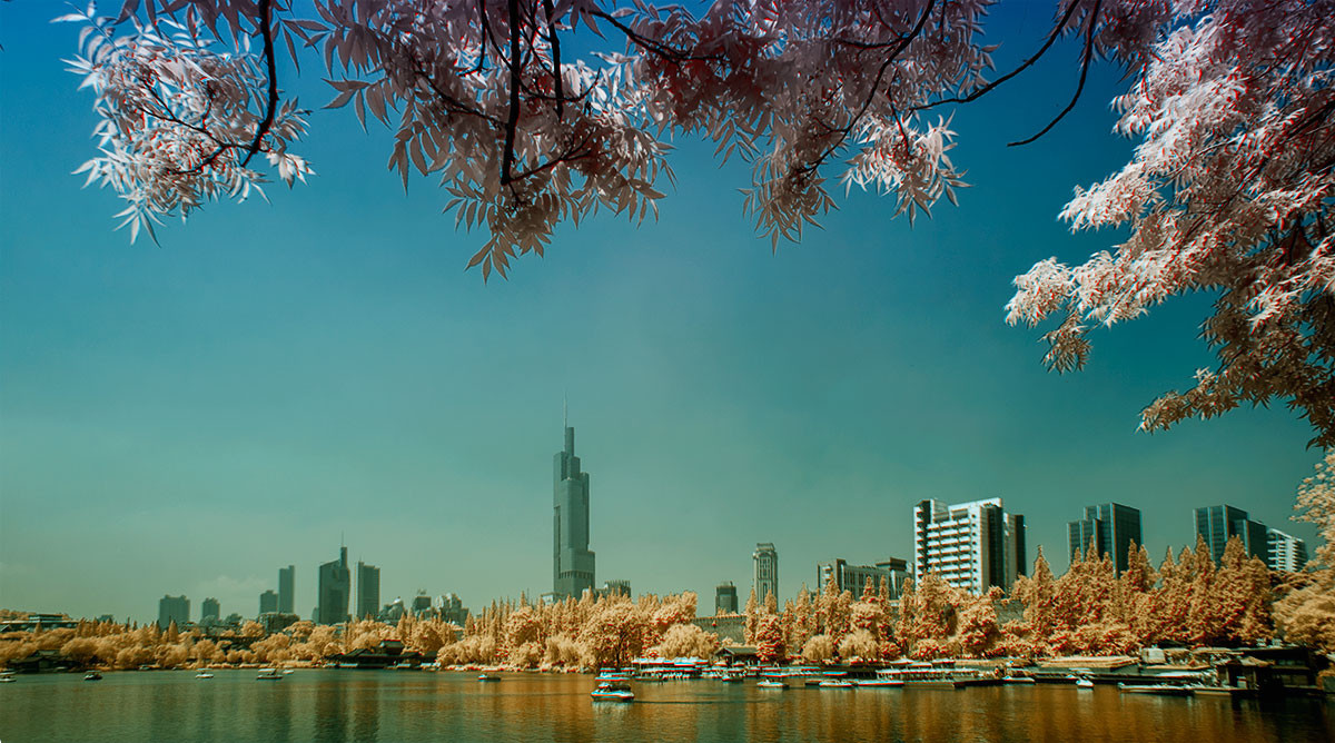 #版主坐堂#【南京星空(中国)】2015年06月部分优秀作品欣赏