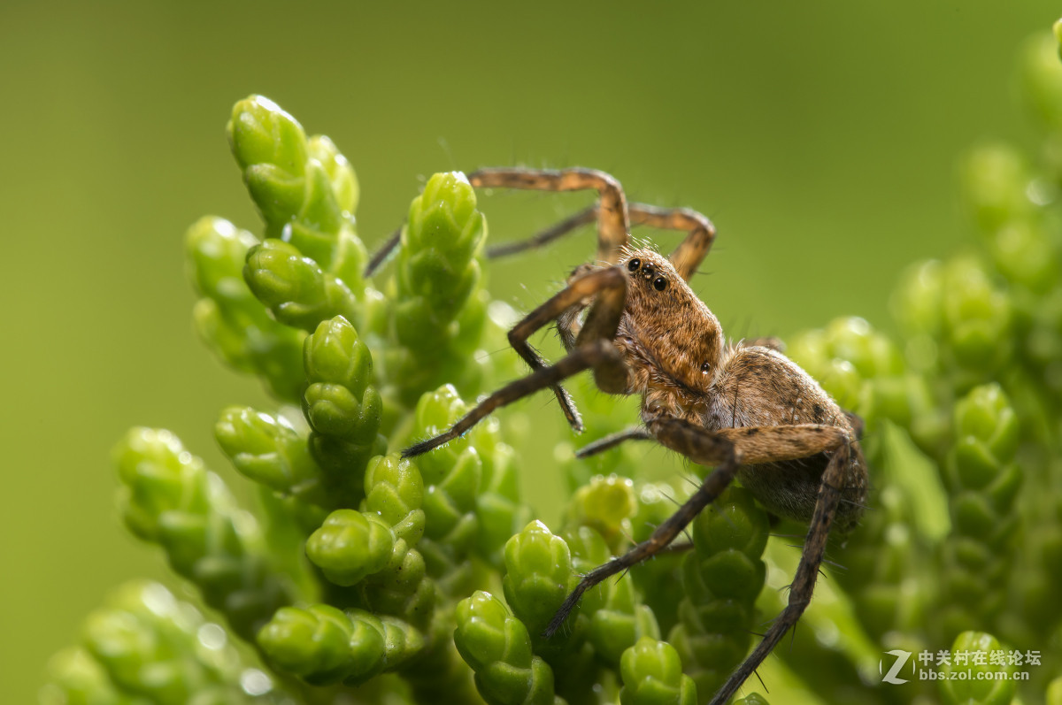 #版主坐堂#【南京星空(中国)】2015年06月部分优秀作品欣赏