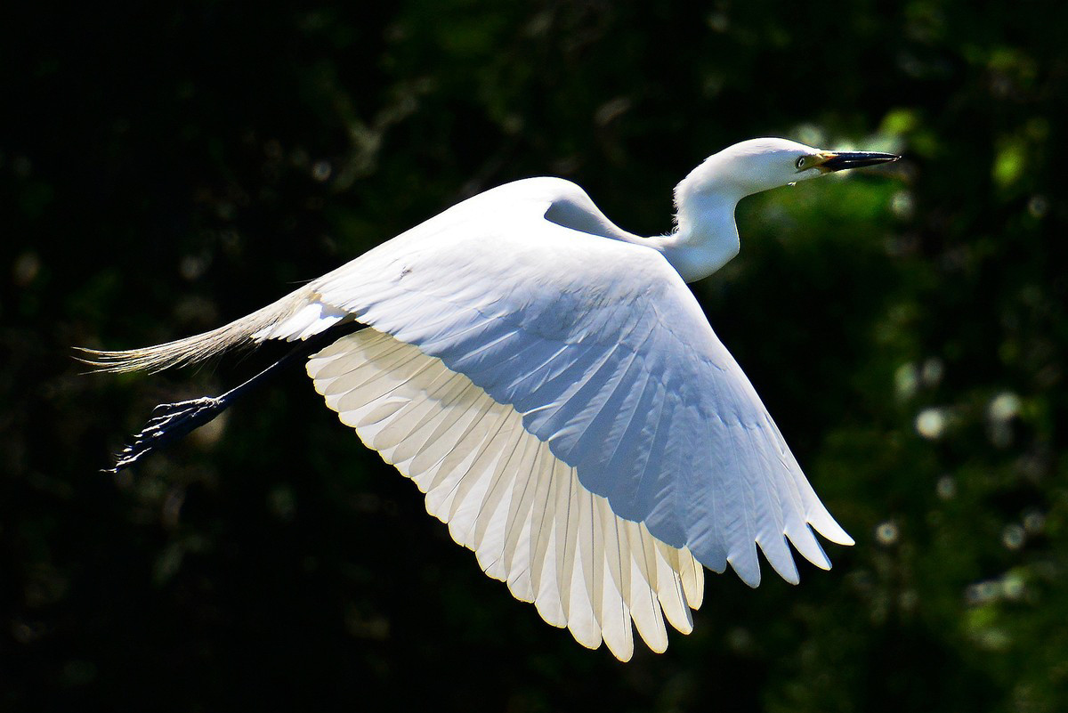 #版主坐堂#【南京星空(中国)】2015年06月部分优秀作品欣赏
