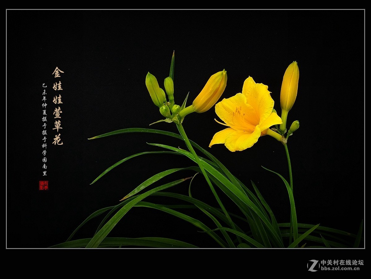 #版主坐堂#【南京星空(中国)】2015年06月部分优秀作品欣赏