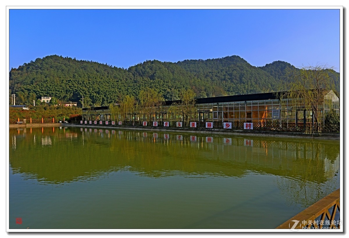 北碚虎头山农业观光园风光