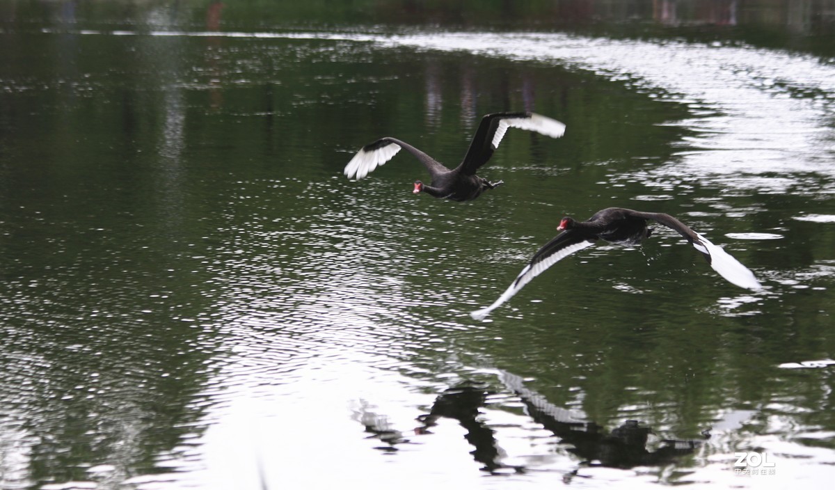 再聚首，发一帖试试