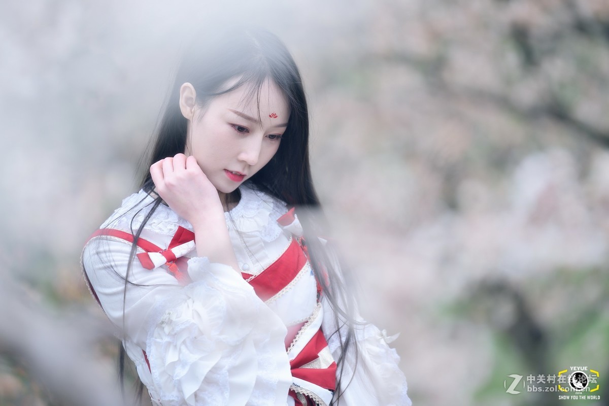 腾龙A009，樱桃花树下的Lolita少女