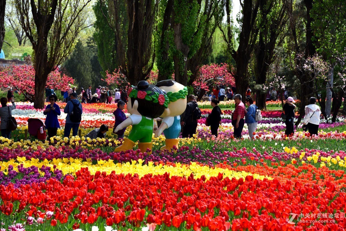 香山北京植物园第31届桃花节之三