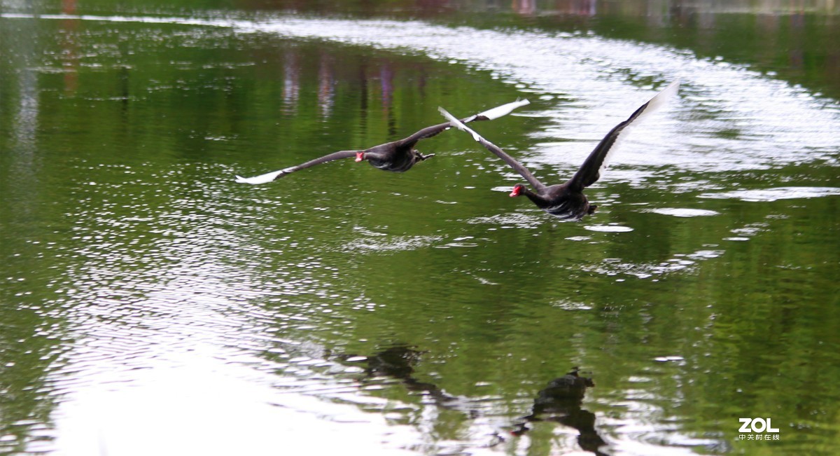 再聚首，发一帖试试