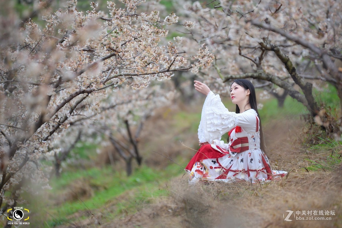 腾龙A009，樱桃花树下的Lolita少女