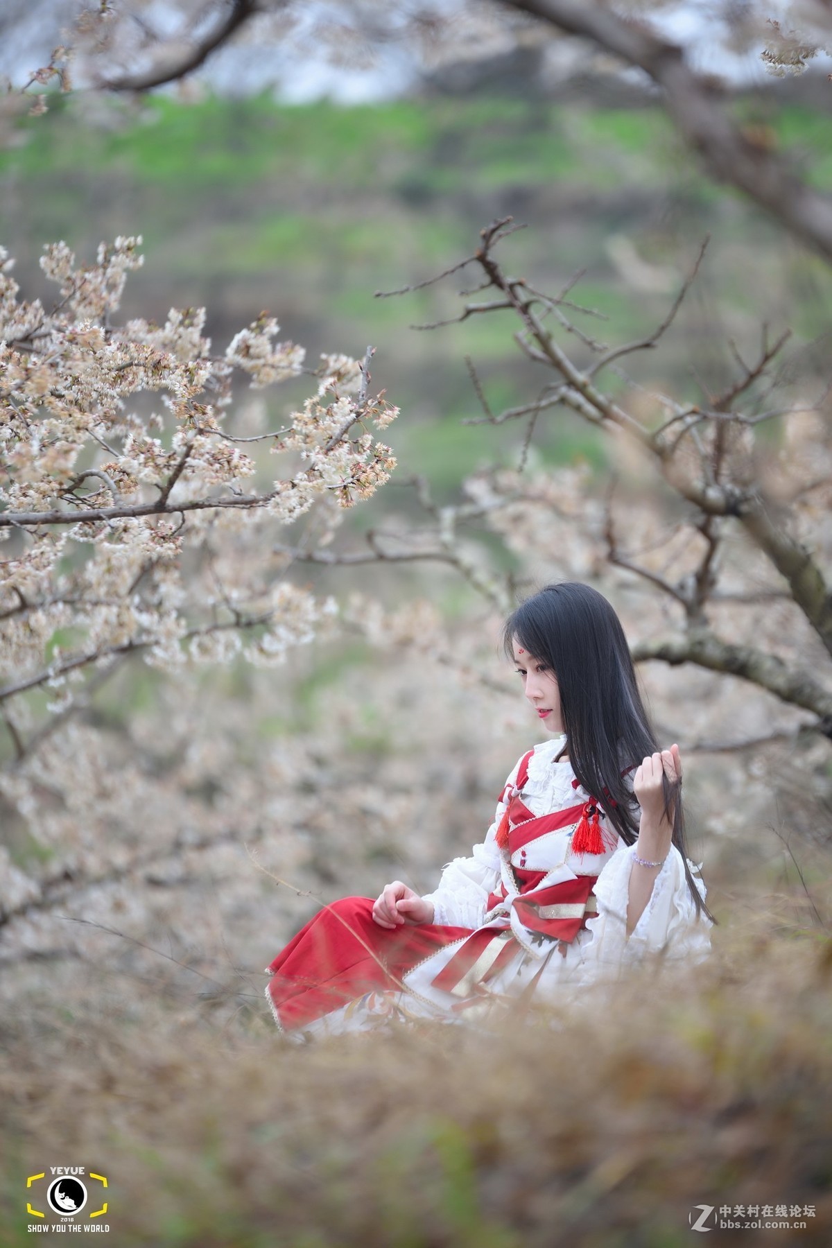 腾龙A009，樱桃花树下的Lolita少女