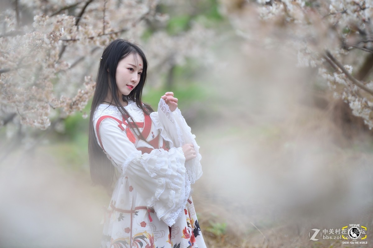 腾龙A009，樱桃花树下的Lolita少女