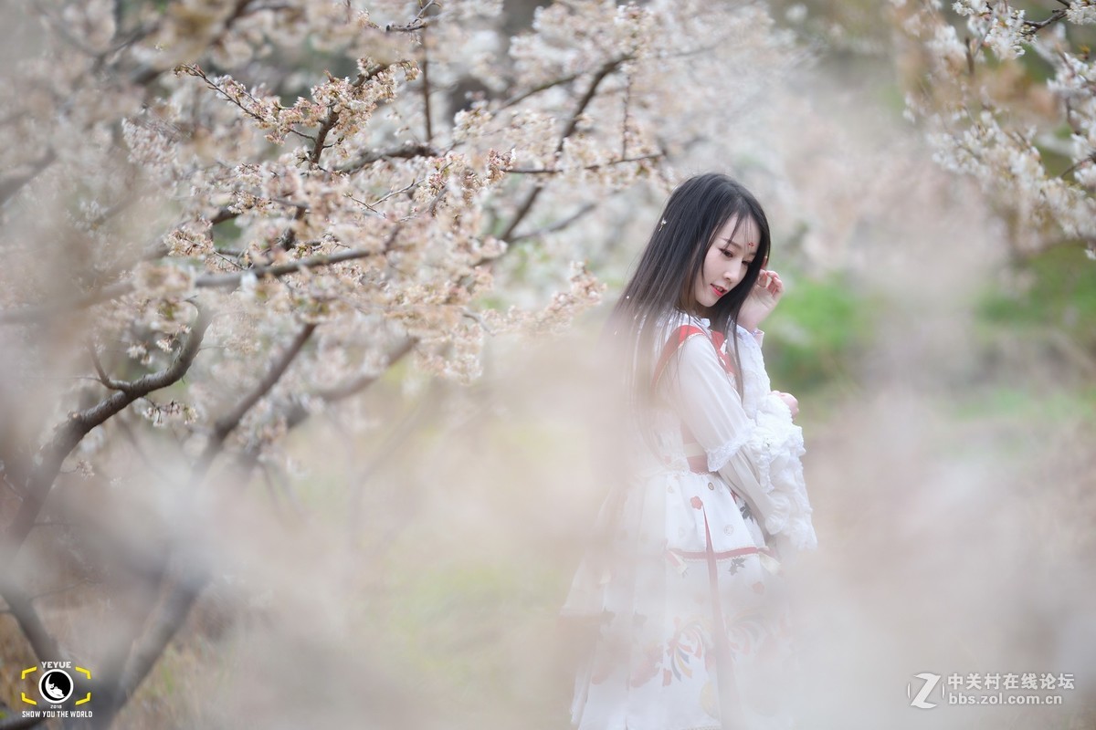 腾龙A009，樱桃花树下的Lolita少女