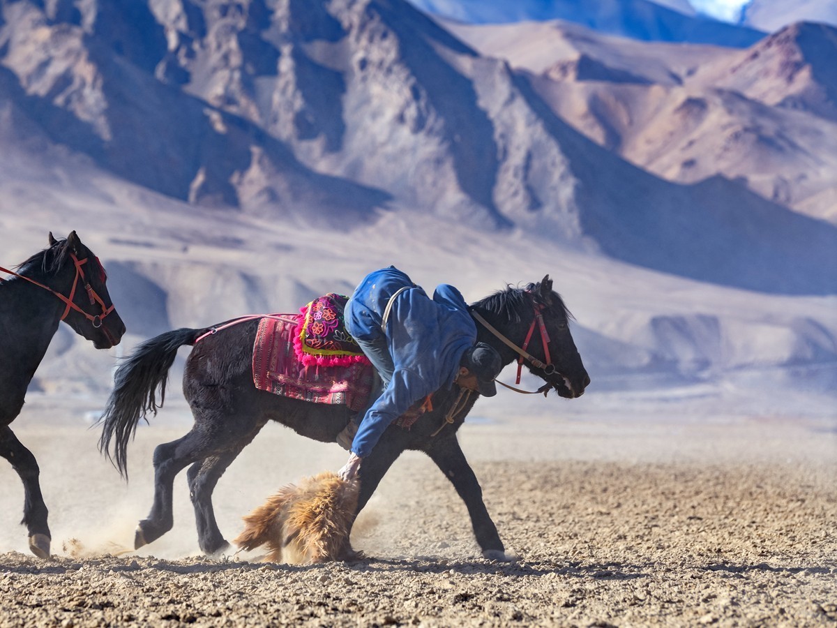 走进帕米尔－塔吉克叨羊