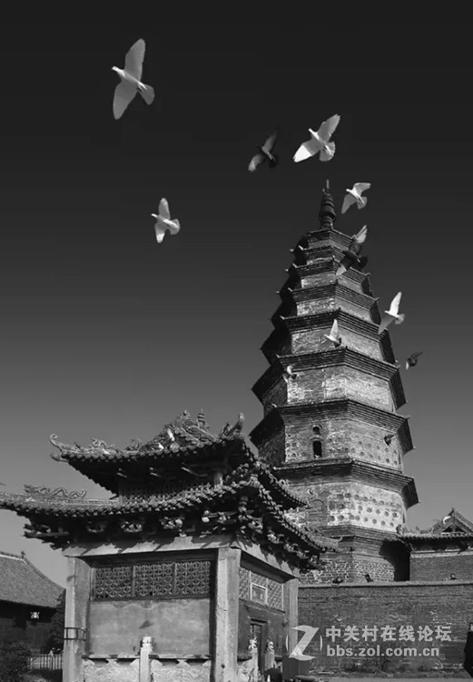 业余摄影师苏唐诗