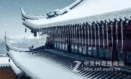 业余摄影师苏唐诗