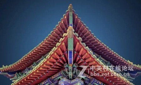 业余摄影师苏唐诗