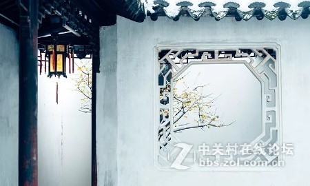业余摄影师苏唐诗