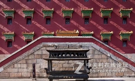 业余摄影师苏唐诗