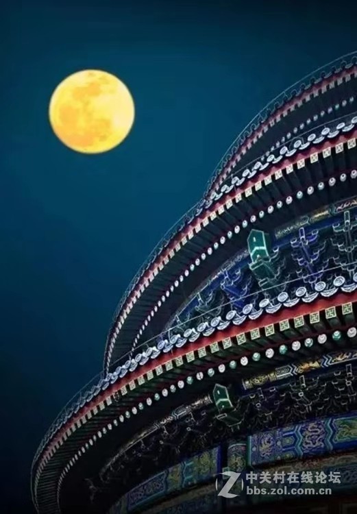 业余摄影师苏唐诗