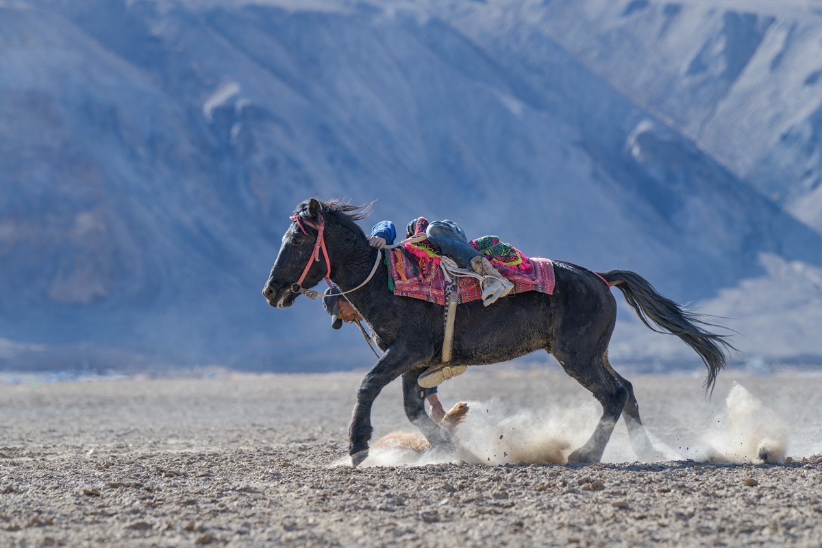 走进帕米尔－塔吉克叨羊