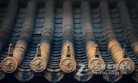 业余摄影师苏唐诗