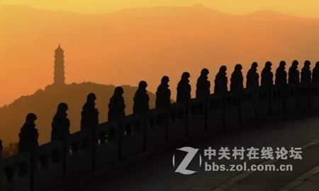 业余摄影师苏唐诗