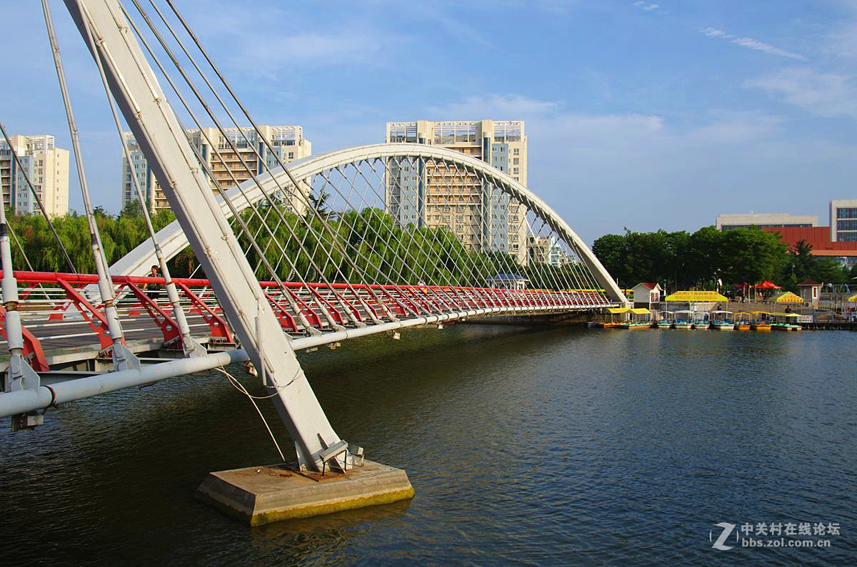 斜拉桥钢构桥12312p