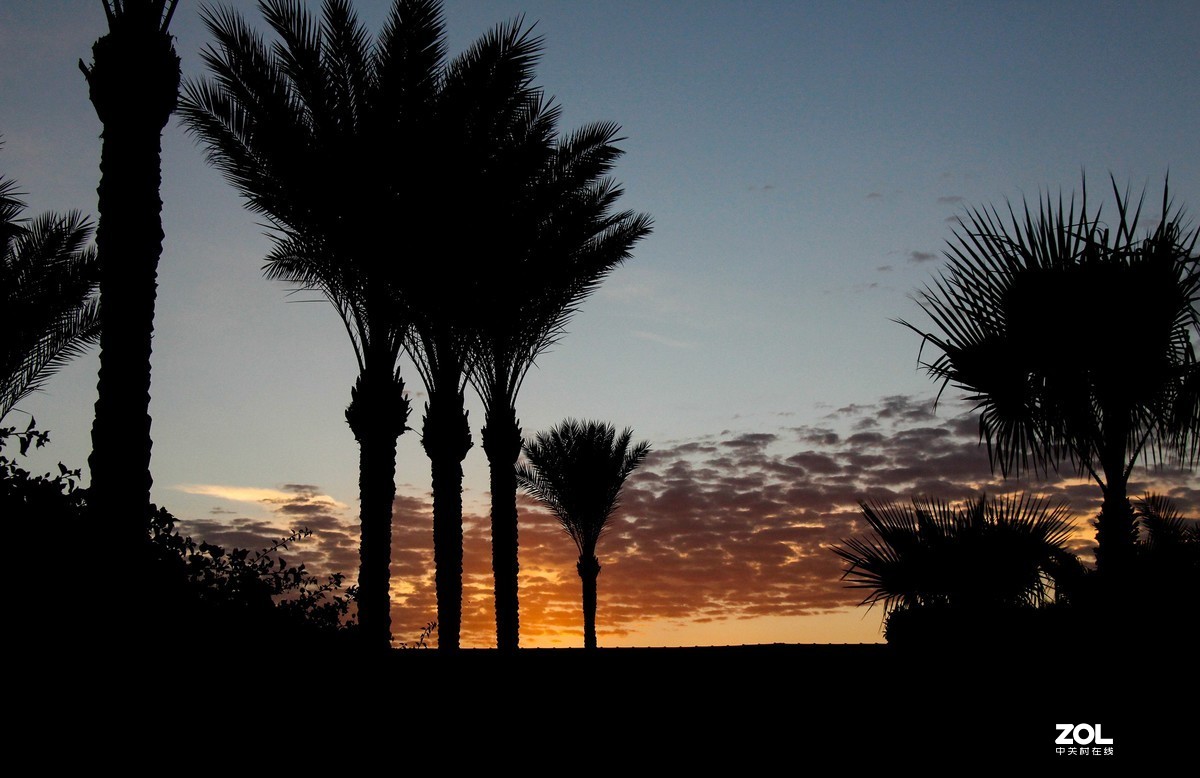 #留下一份夏天的纪念# 朝霞满天续一