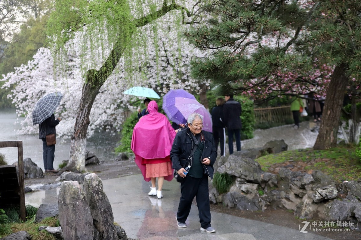 在雨中的西湖溜达，6D2小白兔经受了淋雨的考验，一手打伞一手拿相机，实在是不太稳
