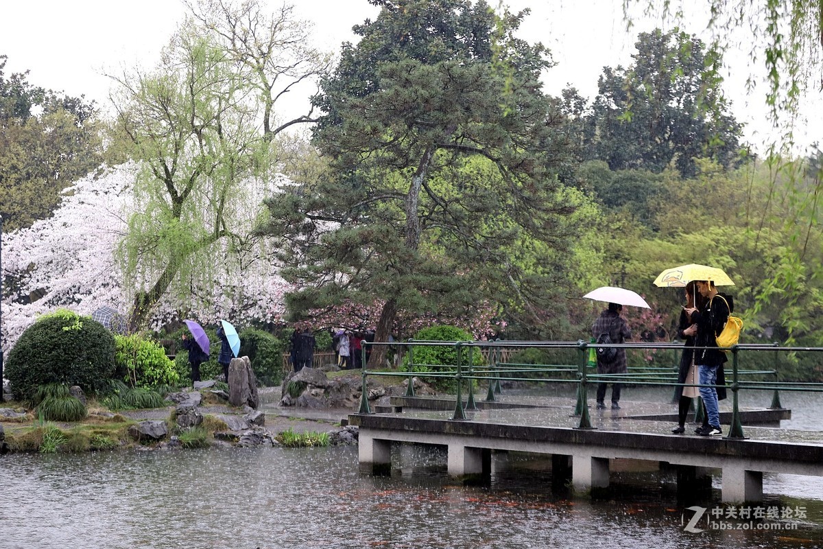 在雨中的西湖溜达，6D2小白兔经受了淋雨的考验，一手打伞一手拿相机，实在是不太稳
