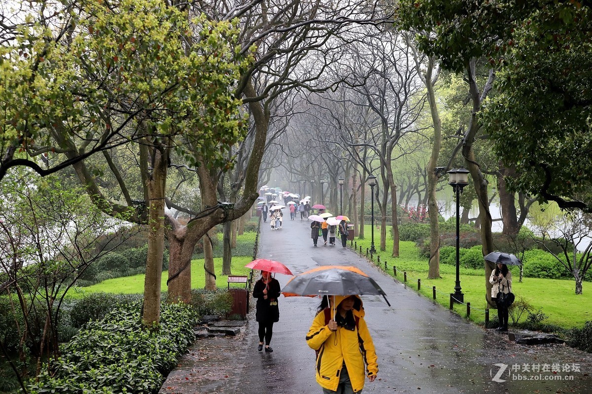 在雨中的西湖溜达，6D2小白兔经受了淋雨的考验，一手打伞一手拿相机，实在是不太稳
