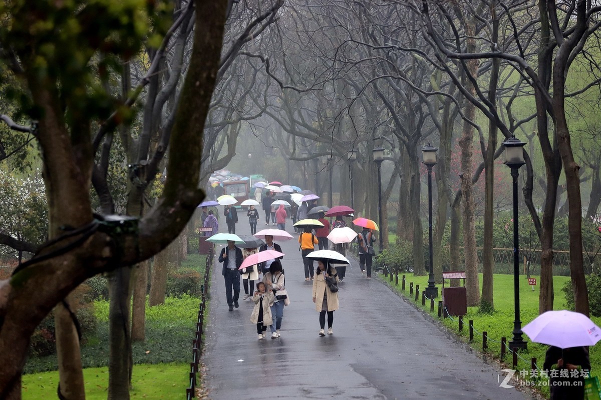 在雨中的西湖溜达，6D2小白兔经受了淋雨的考验，一手打伞一手拿相机，实在是不太稳
