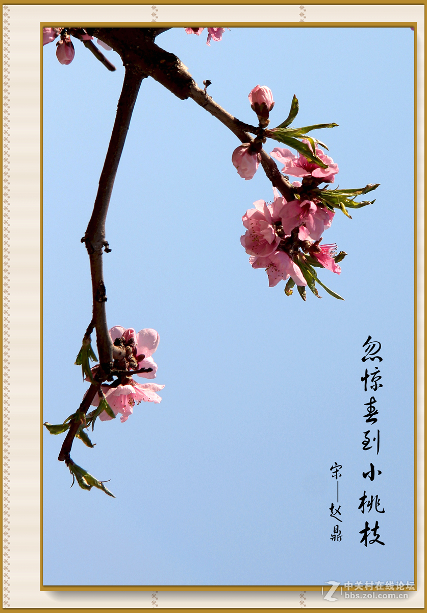 忽惊春到小桃枝