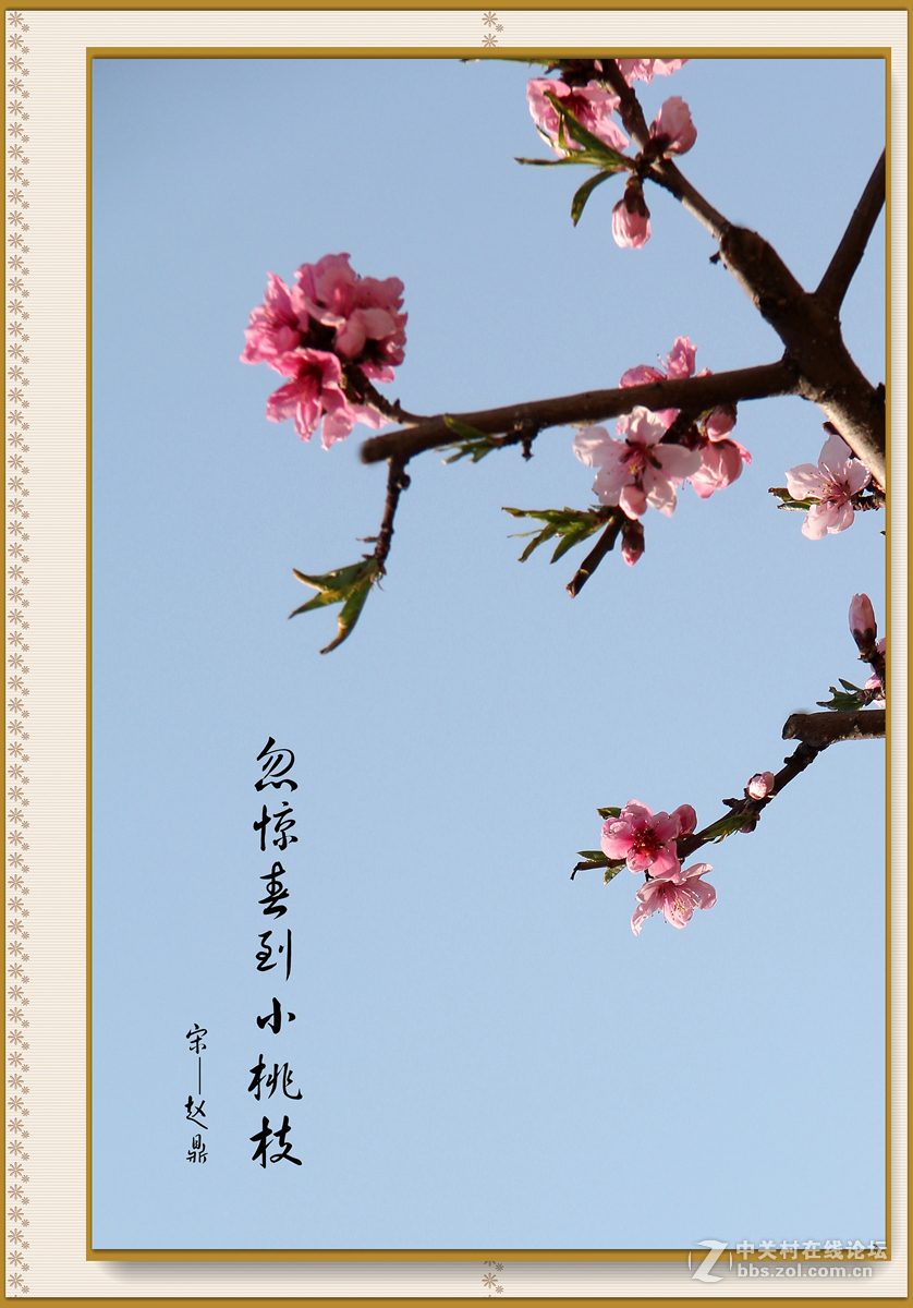 忽惊春到小桃枝