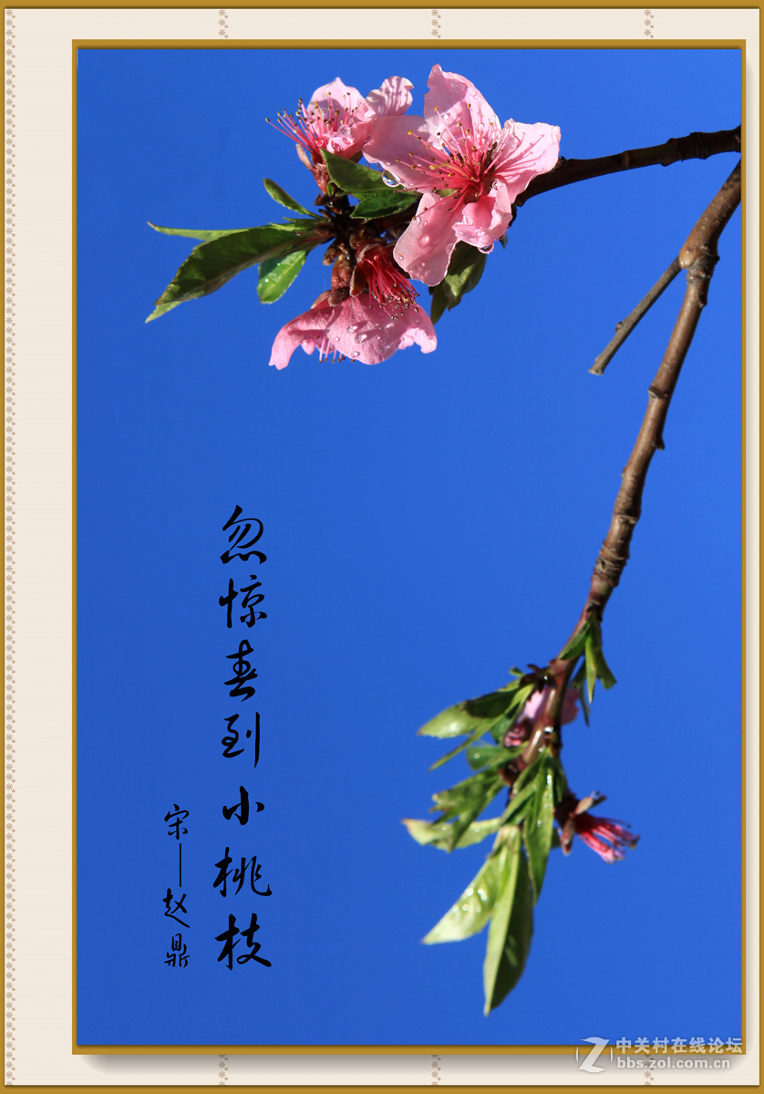 忽惊春到小桃枝